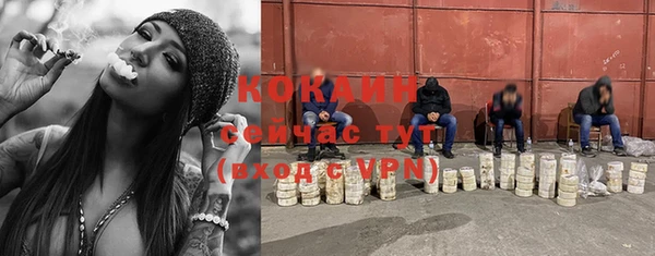 бошки Аркадак