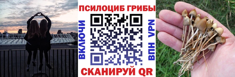 купить наркотики цена hydra рабочий сайт Галлюциногенные грибы MAGIC MUSHROOMS Карачаевск