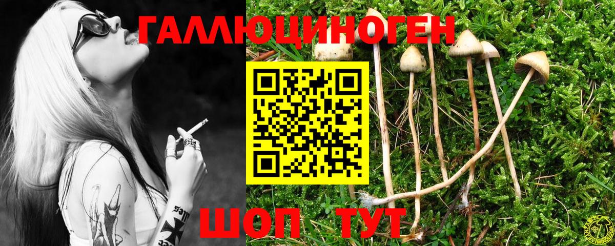 Карачаевск  Псилоцибиновые грибы мицелий  Вход с VPN 